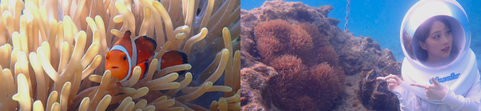 �}�����E�H�[�N